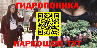 прущие крисы Лесосибирск