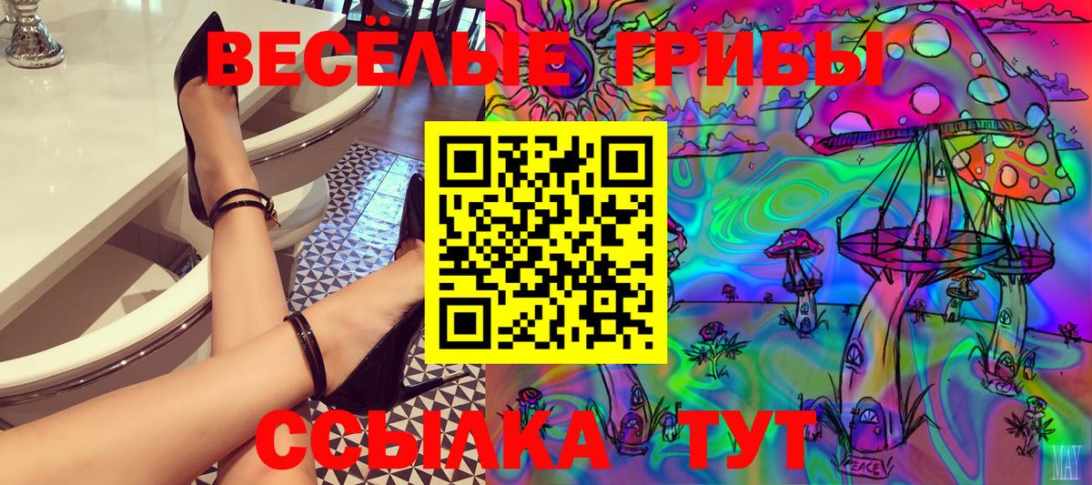 Псилоцибиновые грибы Psilocybe  Вход с VPN  Южноуральск  Псилоцибиновые грибы прущие грибы 